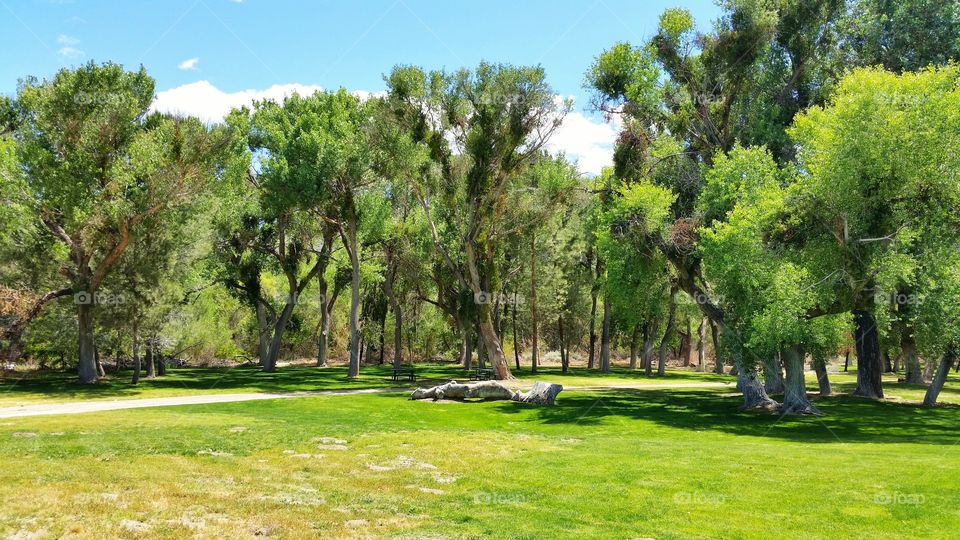 Think. Another beautiful reason I love the outdoors