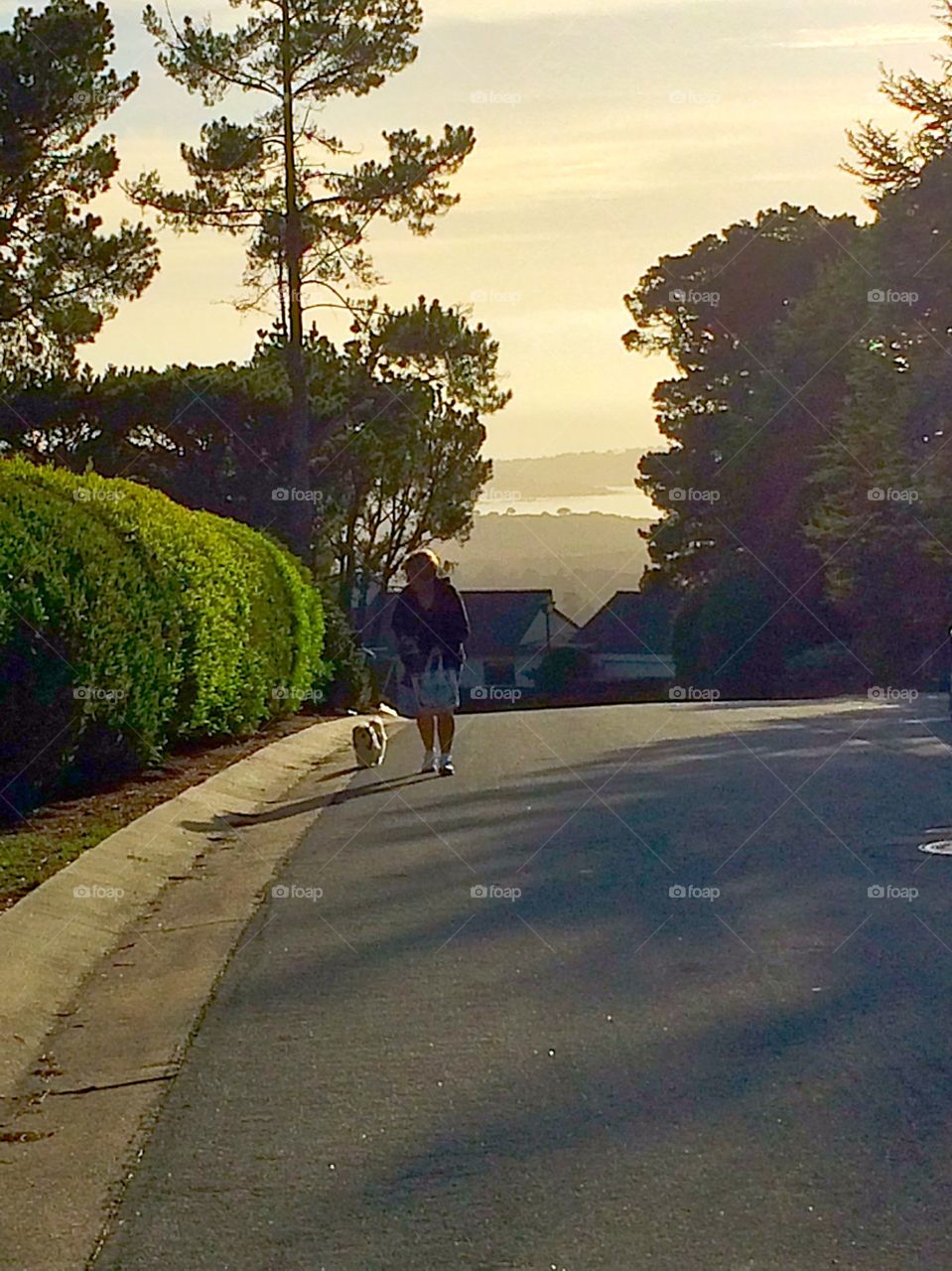 Perfect Walk. Ocean behind, home ahead, walk the dog home