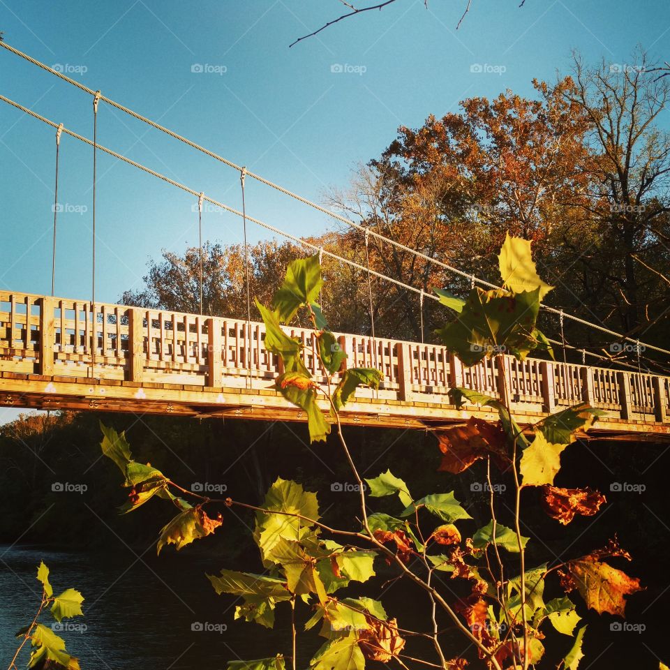 autumn bridge