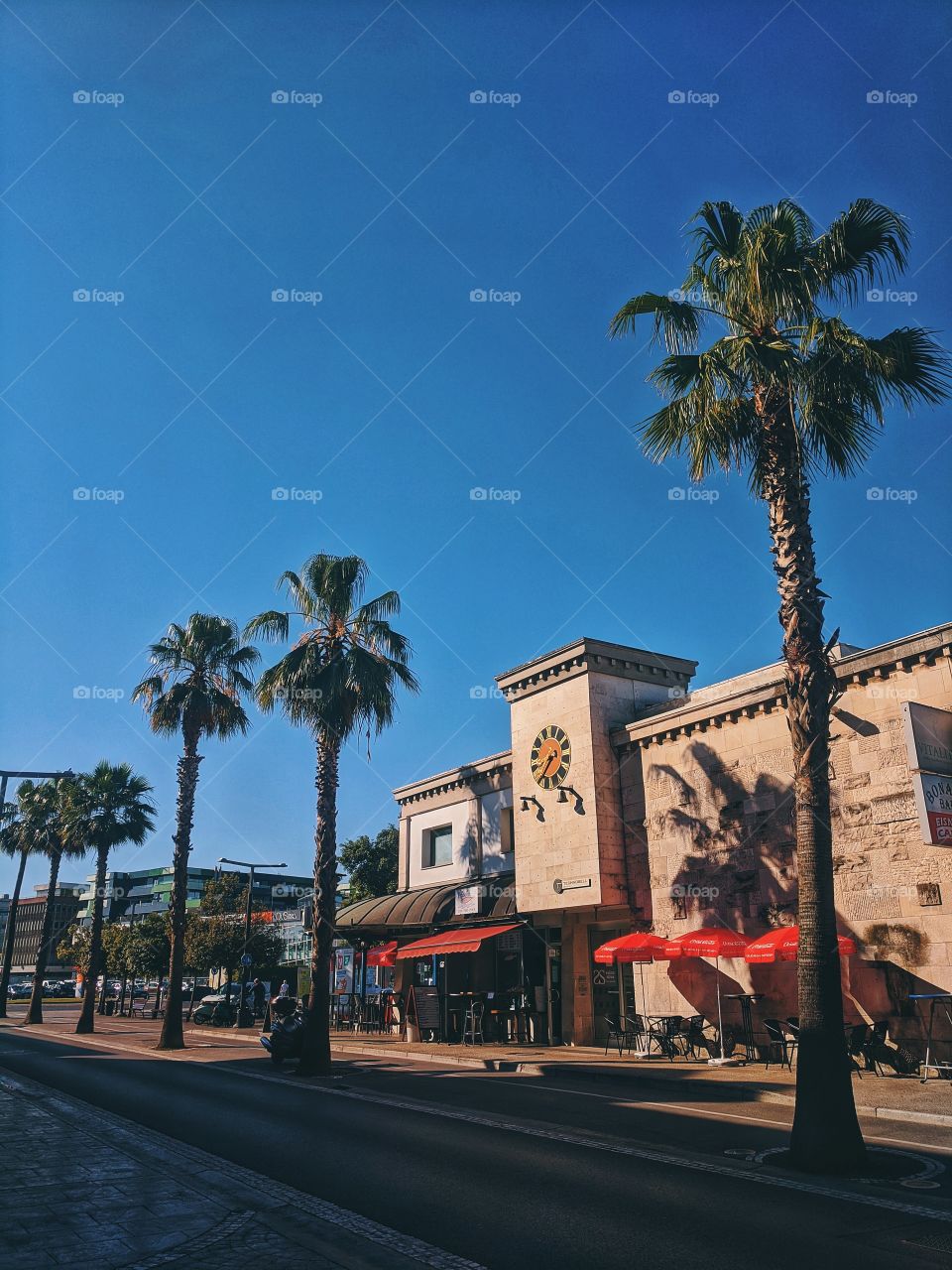 Summer.  The sun.  Palm trees.  Vacation.