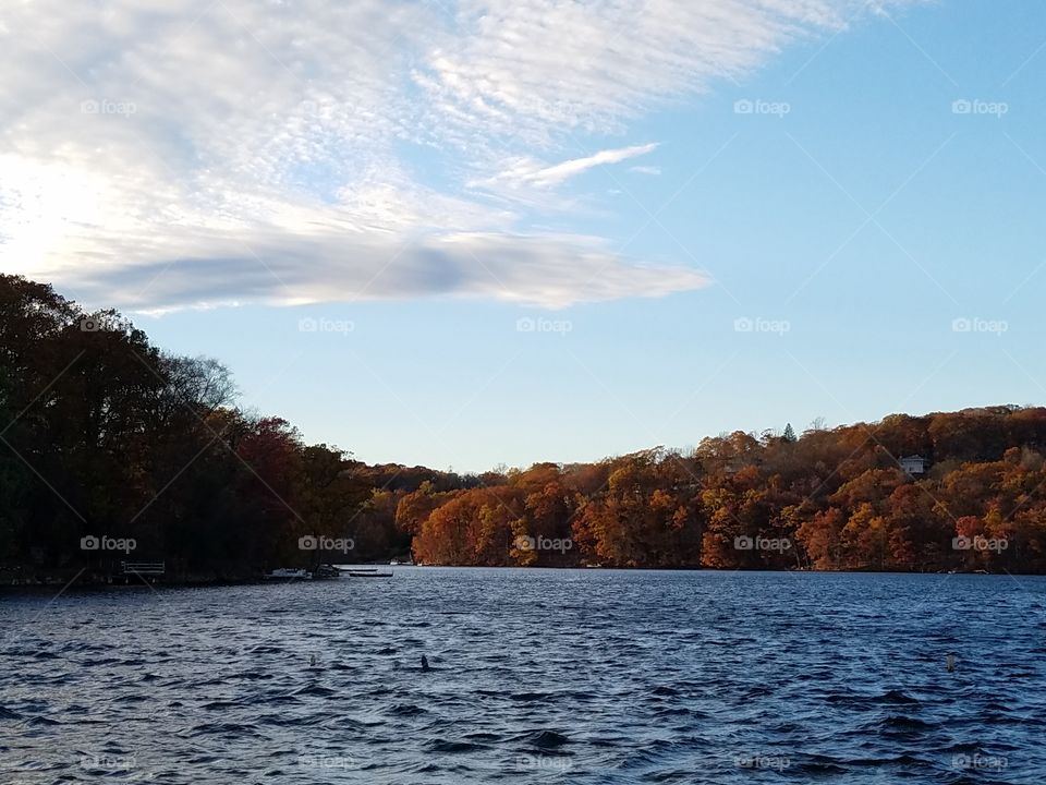 Lake in Autumn