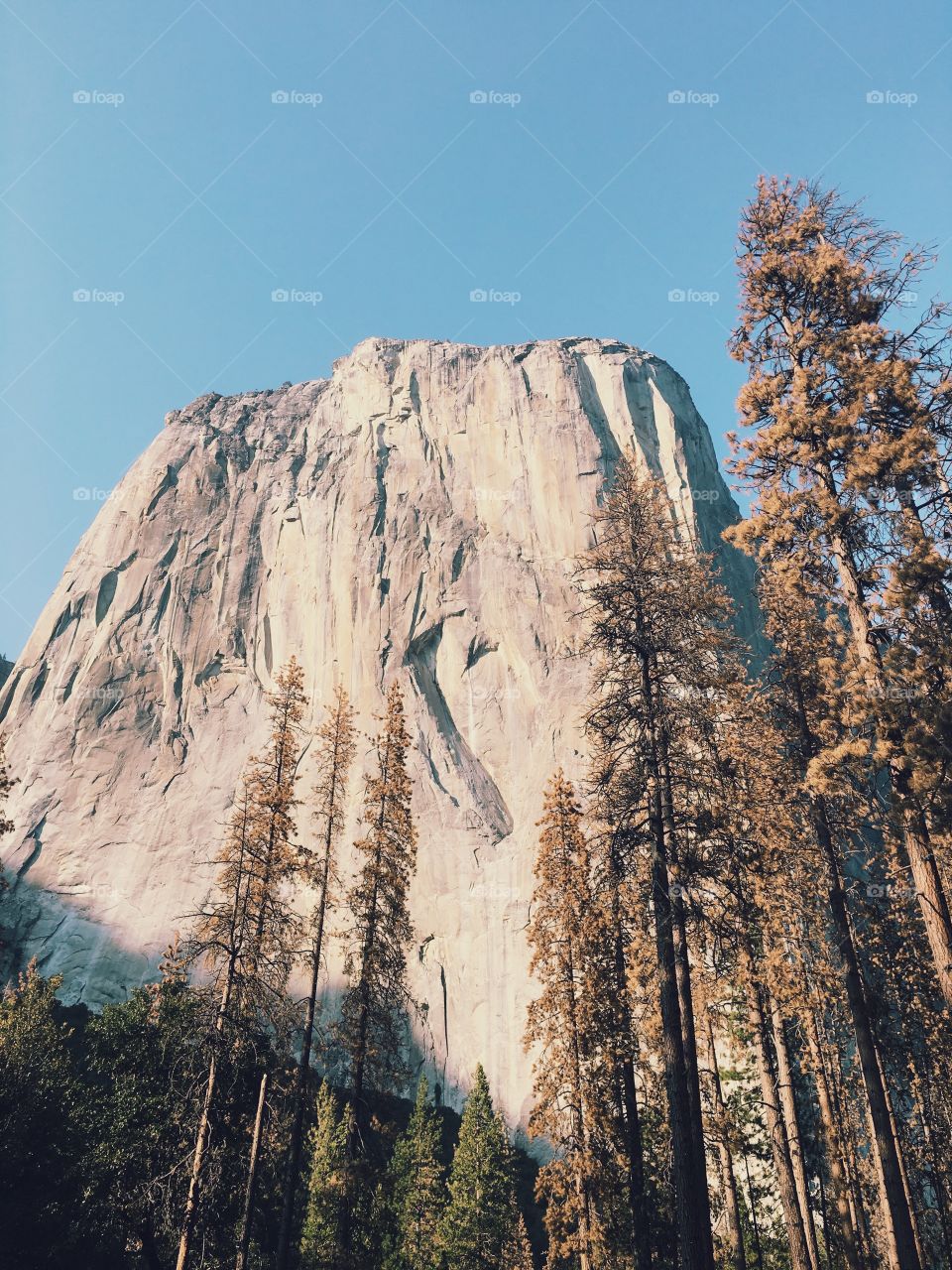 Yosemite