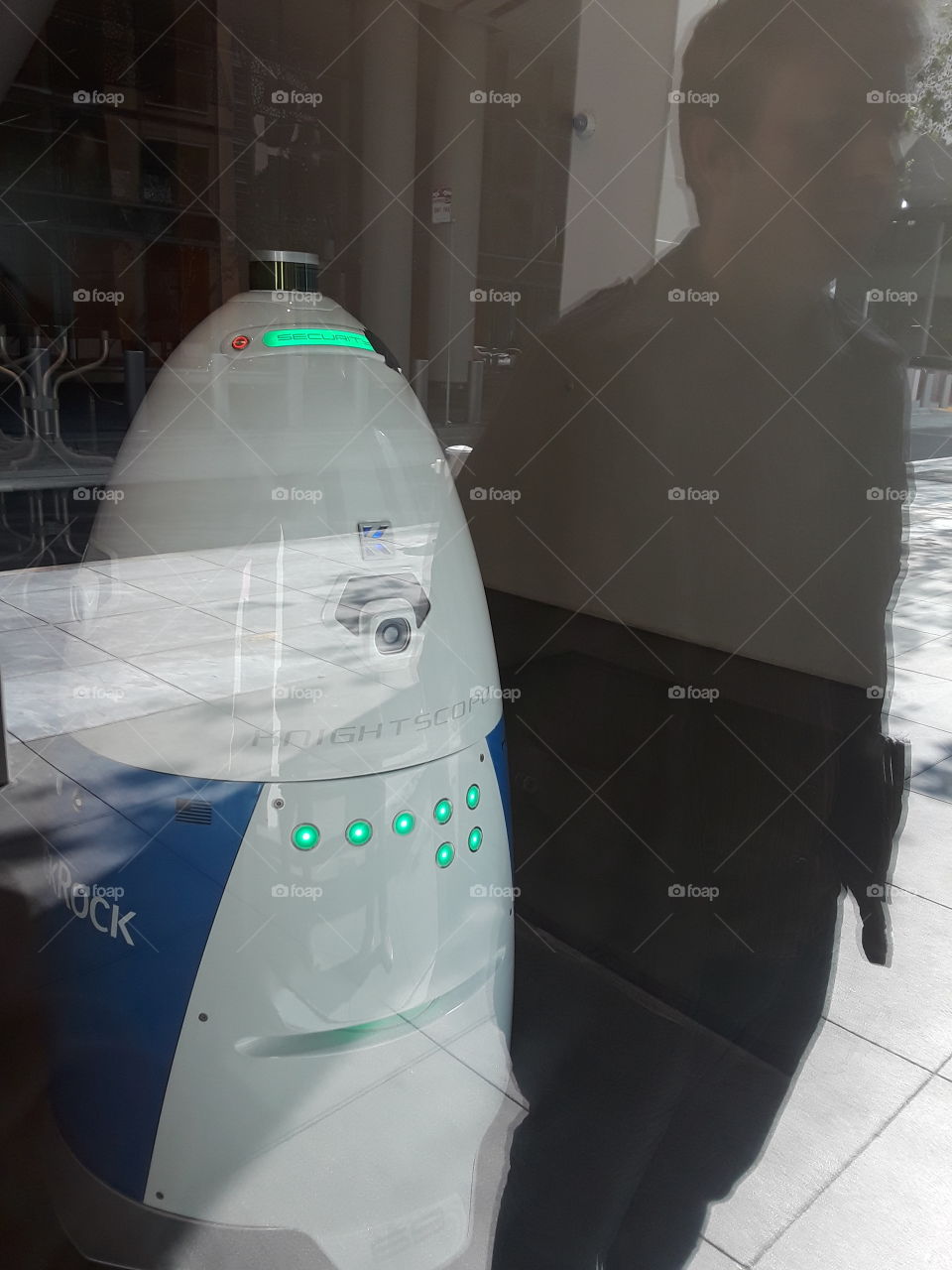 Soma robot security system