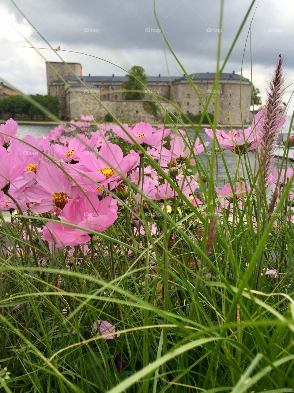 Waxholm and borgen!! Love this place!!! 