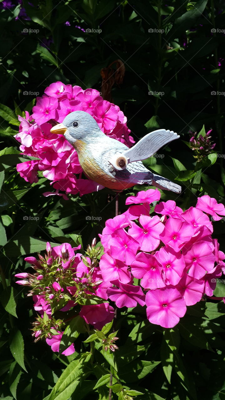 Bird in flower garden