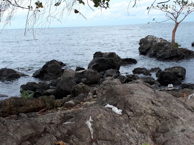 Lake Victoria the 3rd Largest Fresh Water Lake in the World