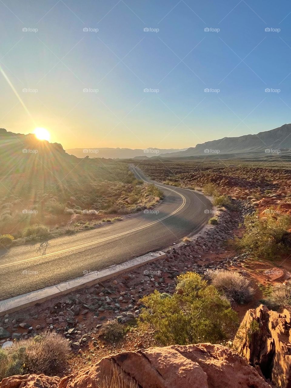 Morning Sun on a Curved Valley of Fire Road