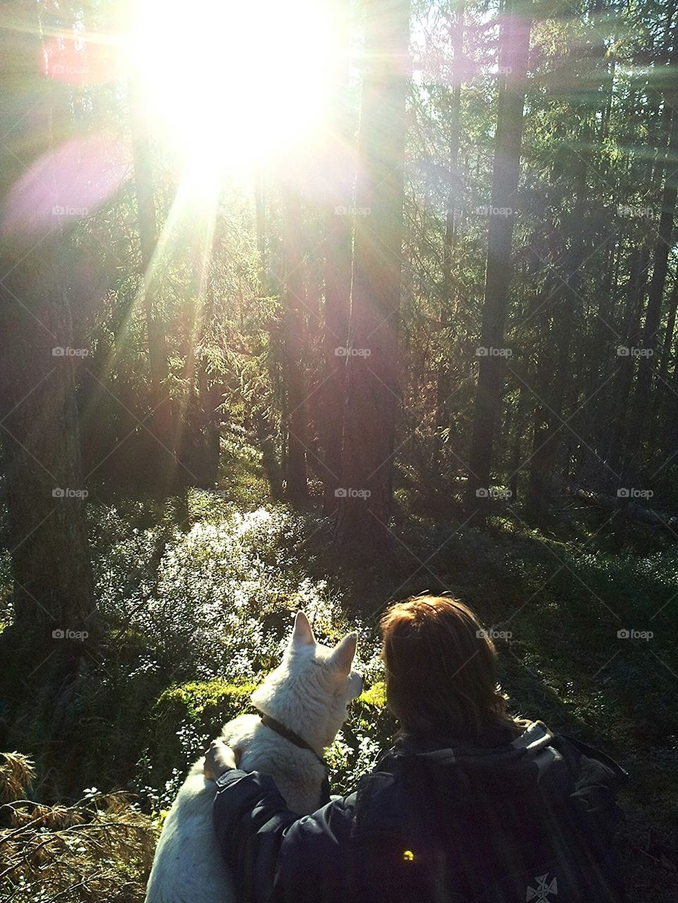 sun dog bestfriends sunshine by nathalievorne