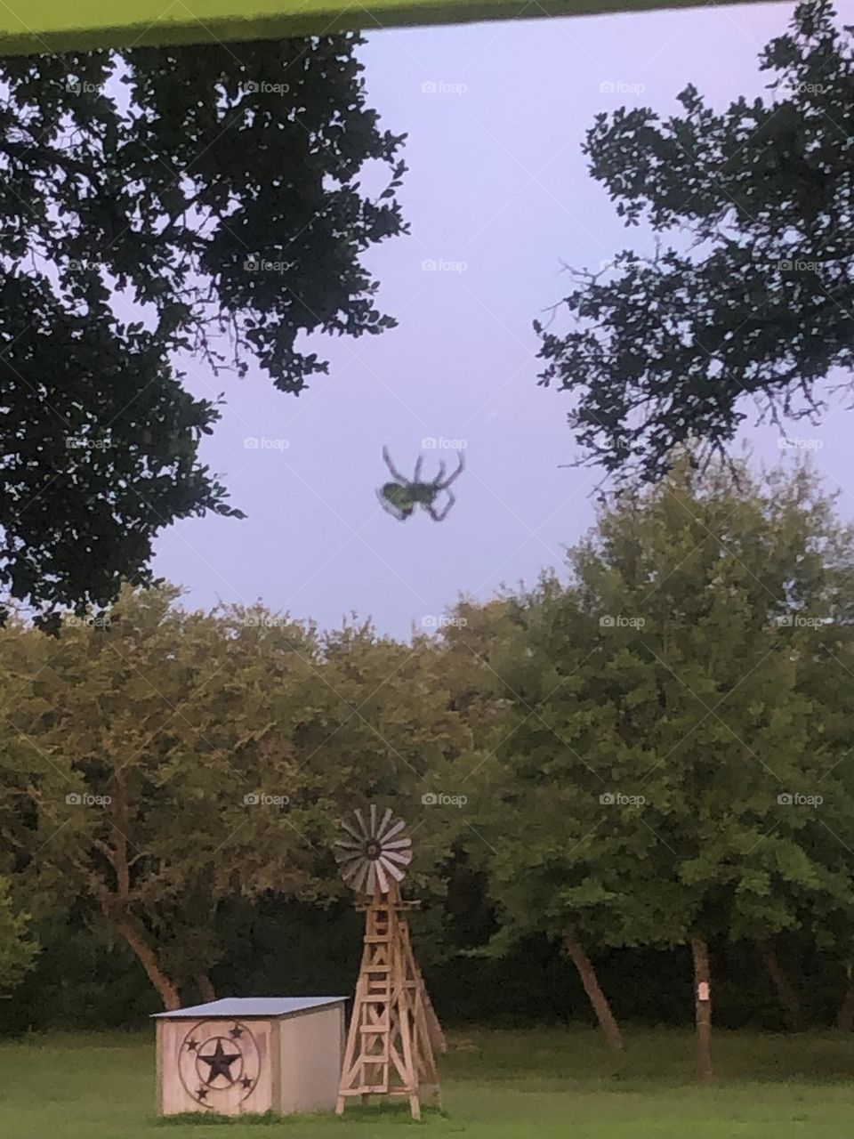 This is what we call a garden spider out here in Texas! He’s the size of a very large egg!! And he was literally hanging out above the steps on the porch! Don’t like them but I will take their photo!