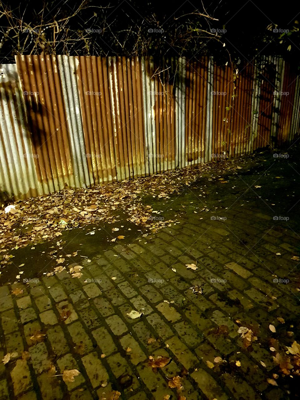 cobbled leafy alley