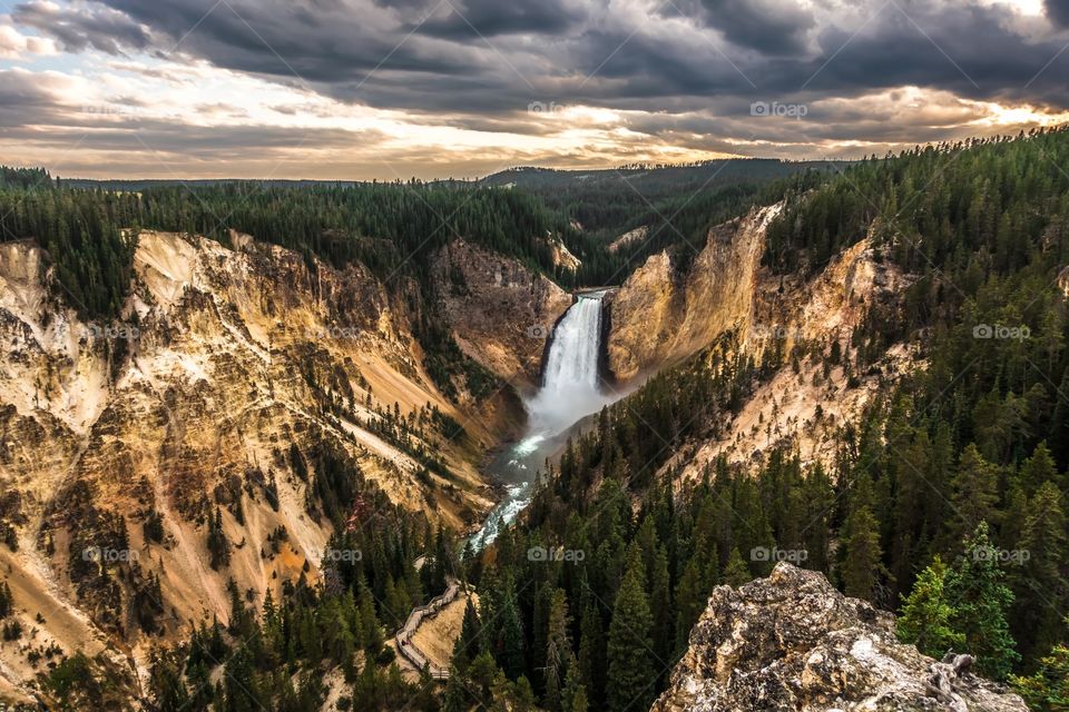 Yellowstone falls