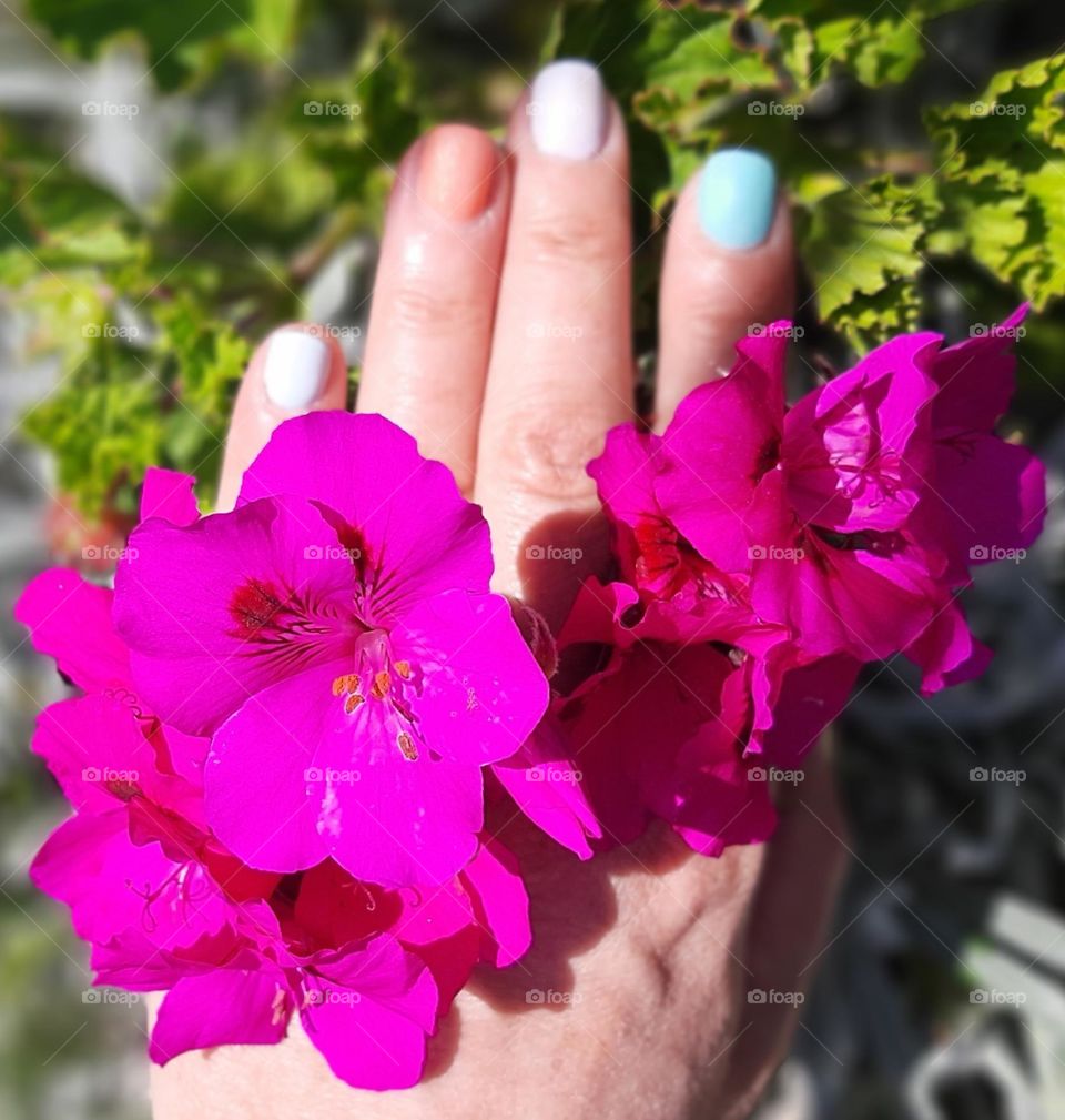 Handful of Colour