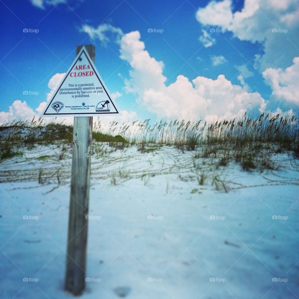 Grayton Beach State Park Dunes