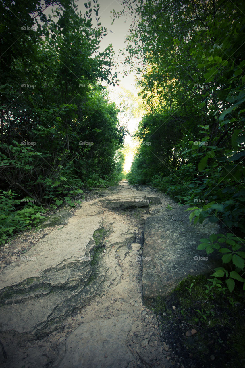 Beaten Path