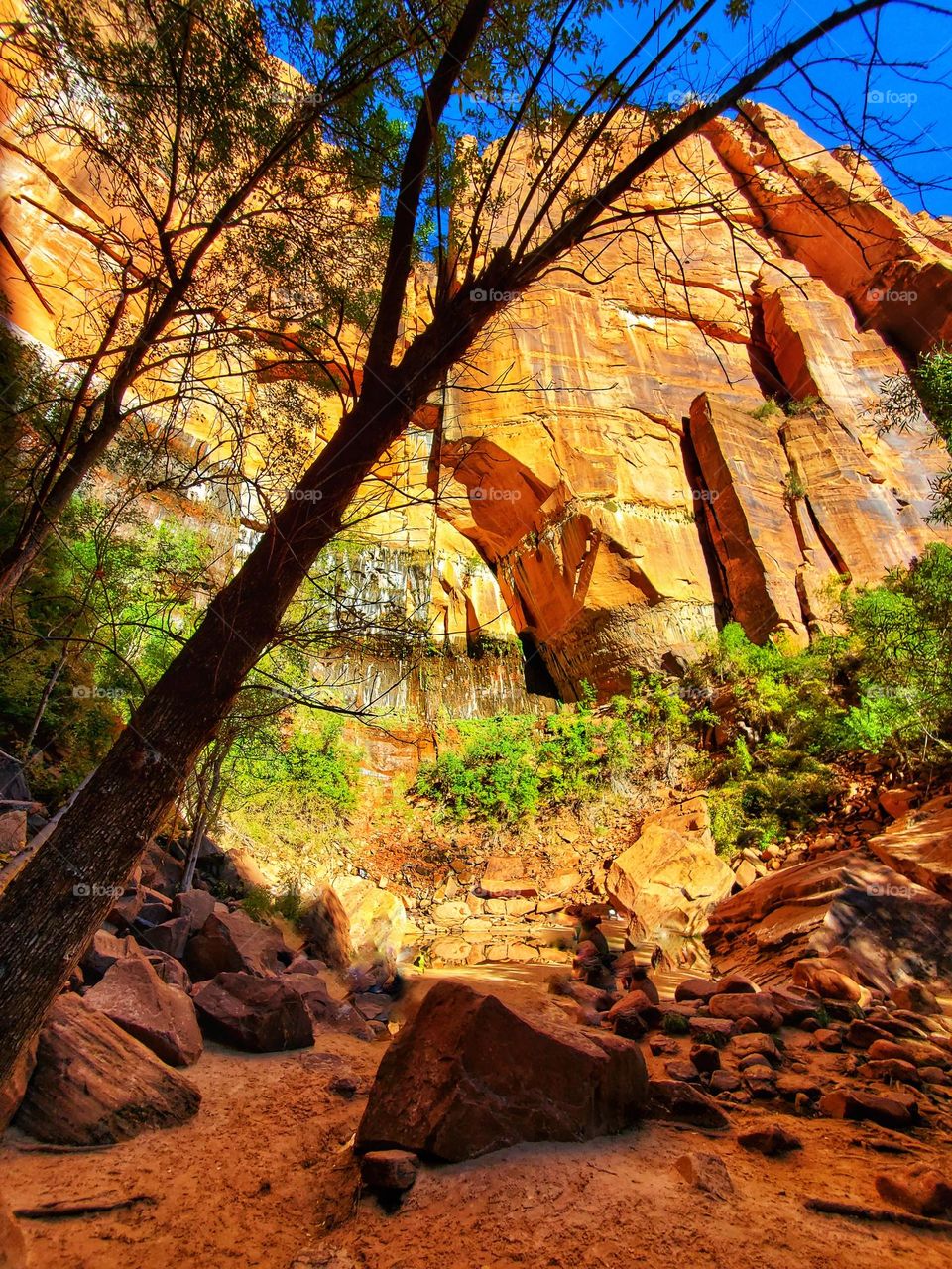 Upper Emerald Pool , Zion National Park