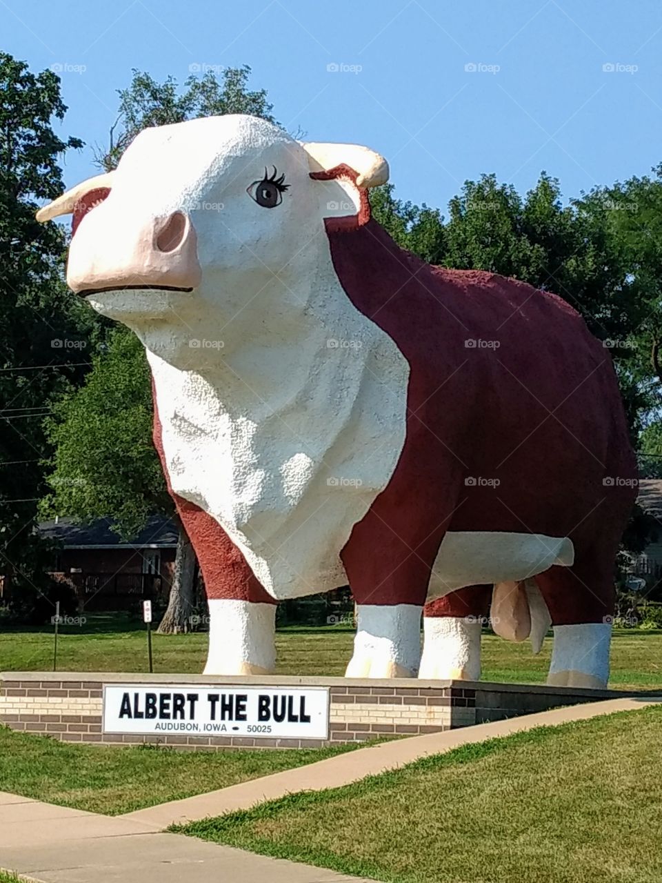 Albert The Bull