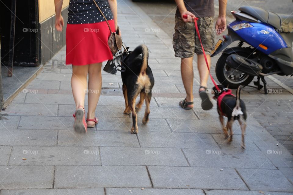 Walking the dog in stereo 