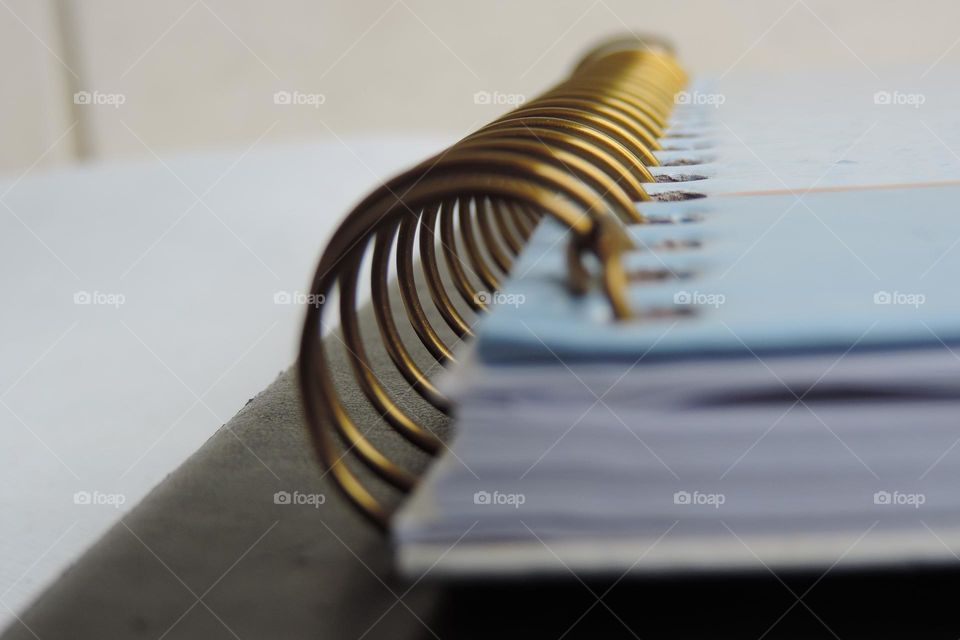 Golden hoops in harmony with the circles of imagination.