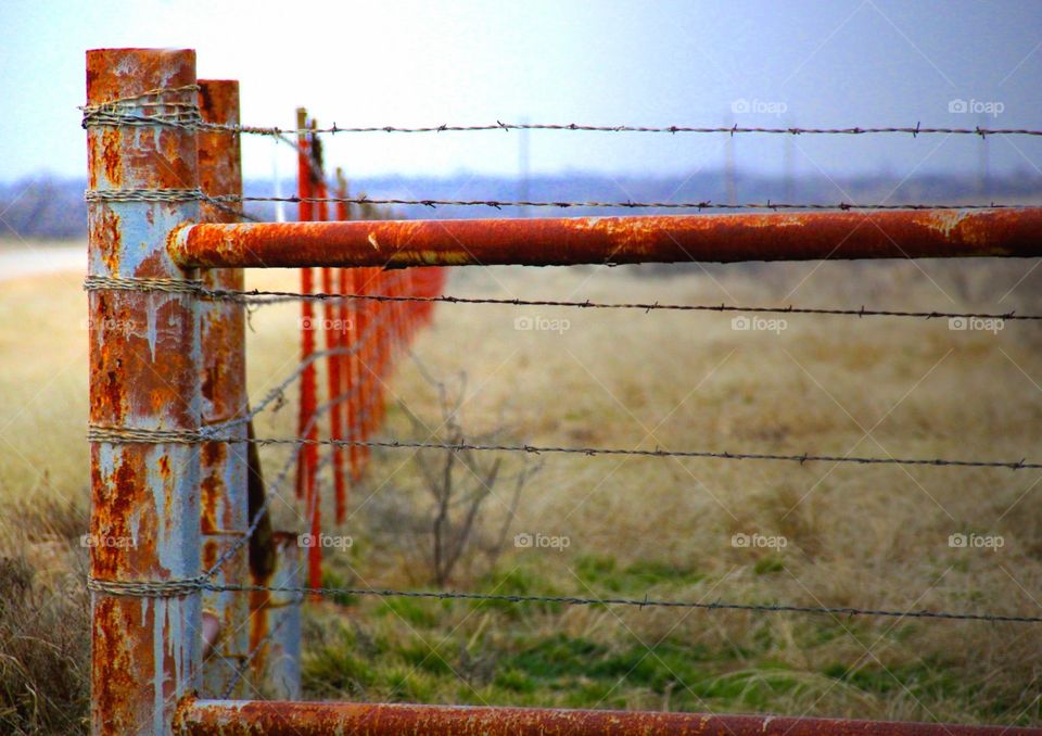 Down the line. A country shot of barb wire fencing 