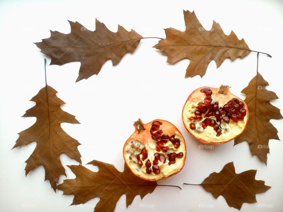 Fall, Leaf, No Person, Maple, Season