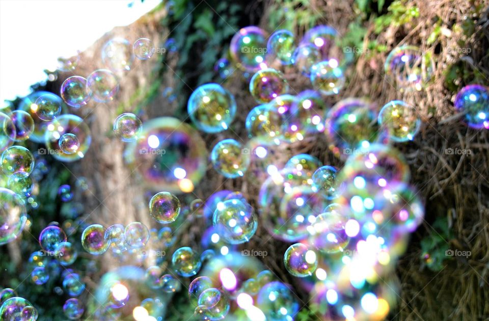 Bubbles 