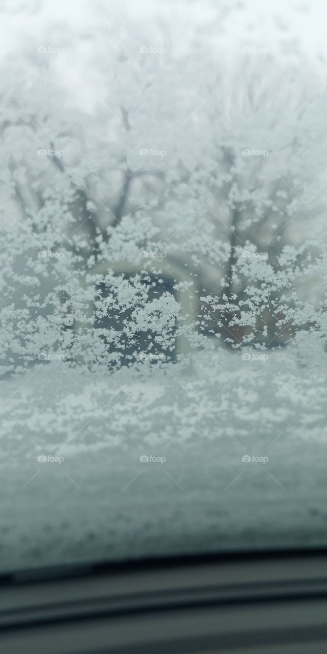 snow on the windshield
