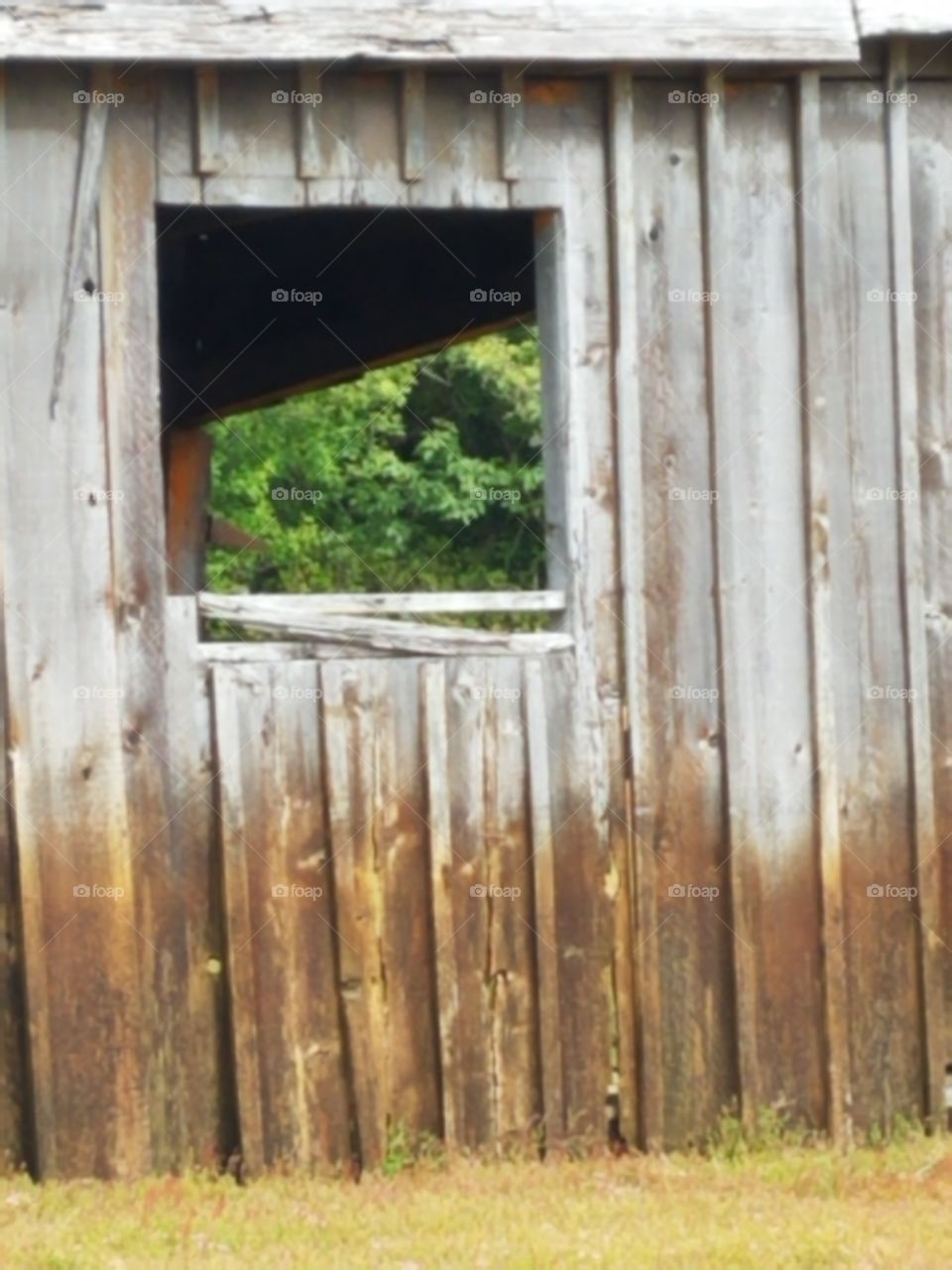 a window through time