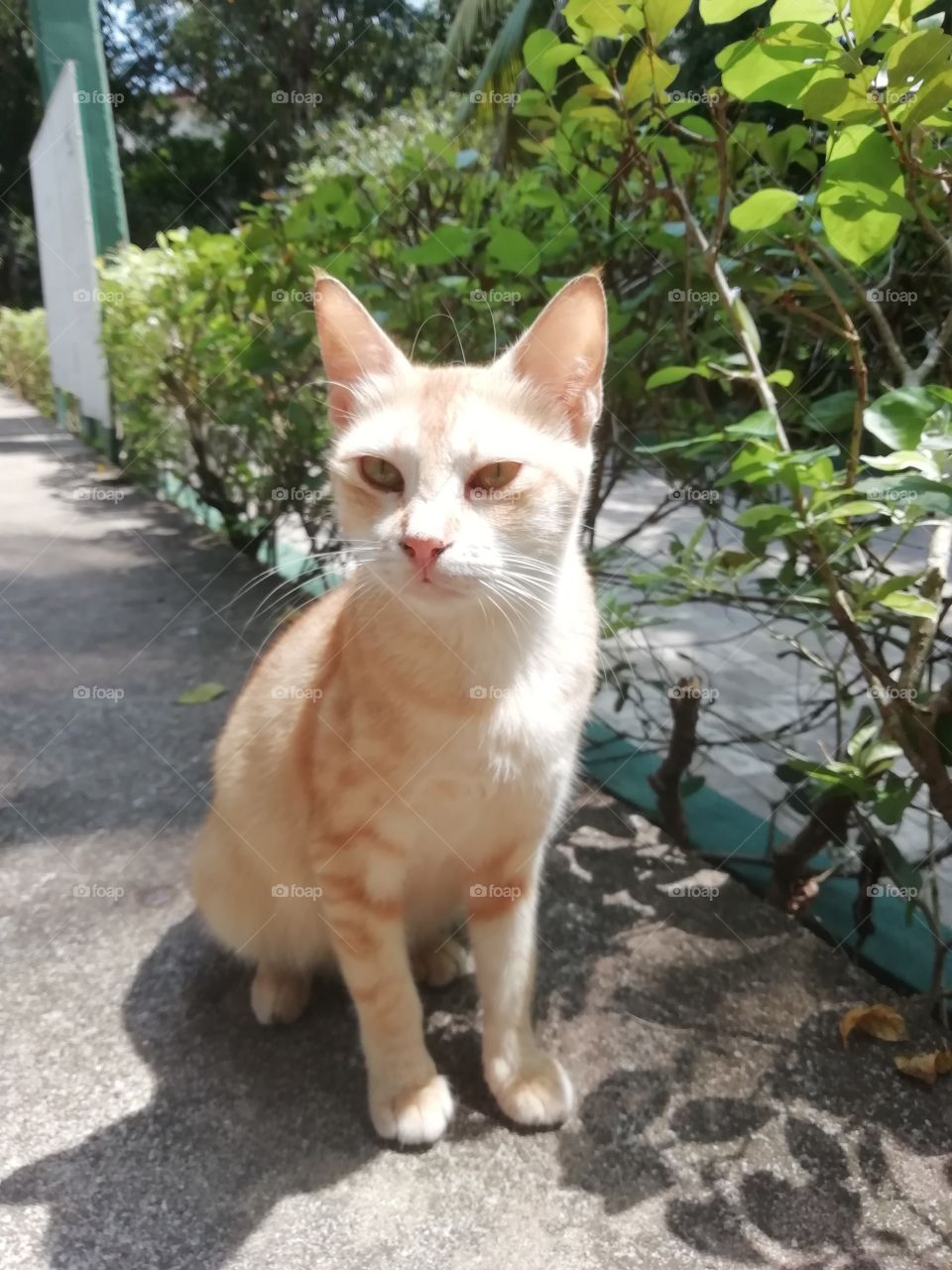 The friend I met in the resort