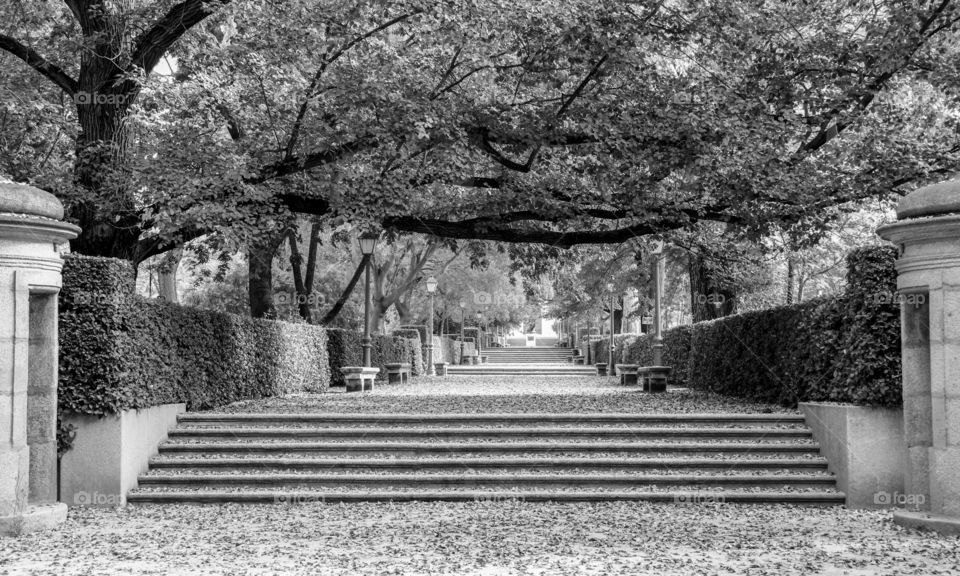 Hidden city park in Madrid 