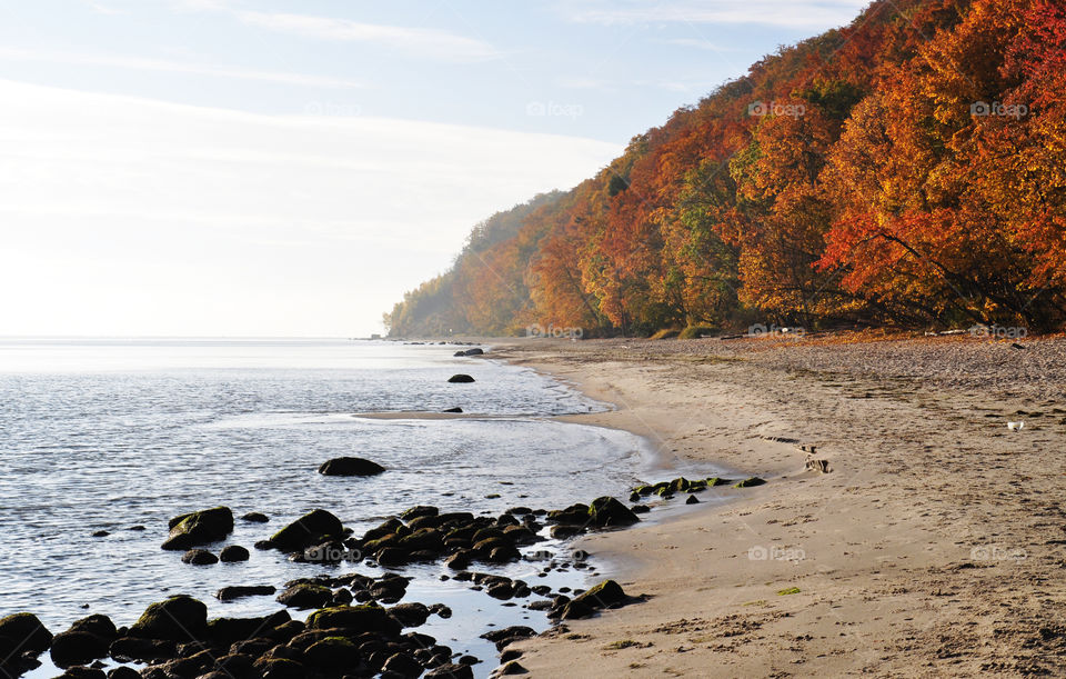 Autumn beach view 