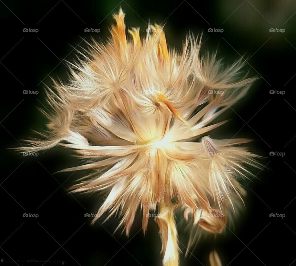 Beautiful people are not always good, but good people are always beautiful.