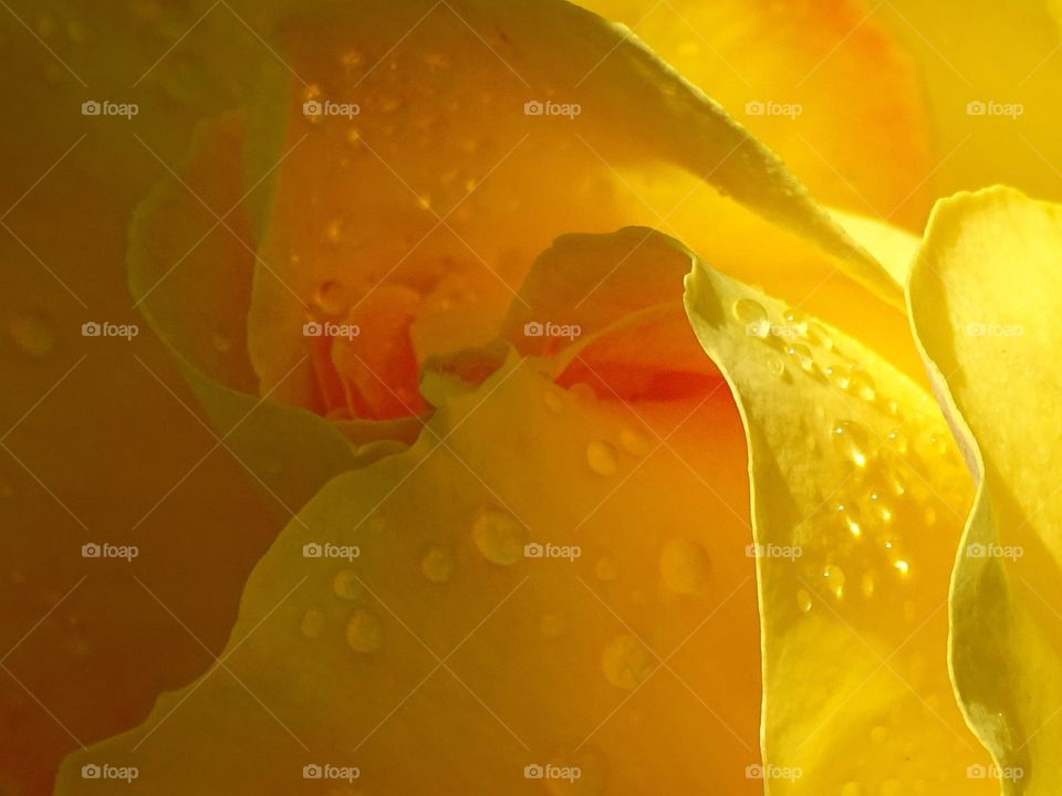 In low light how beautiful it is