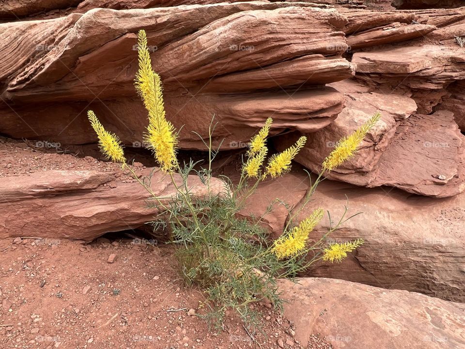 Canyonlands National Park 