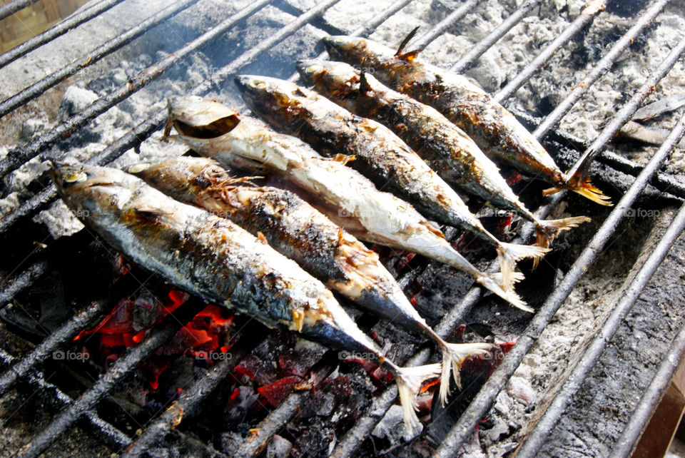 Grilled Fish on Summer days