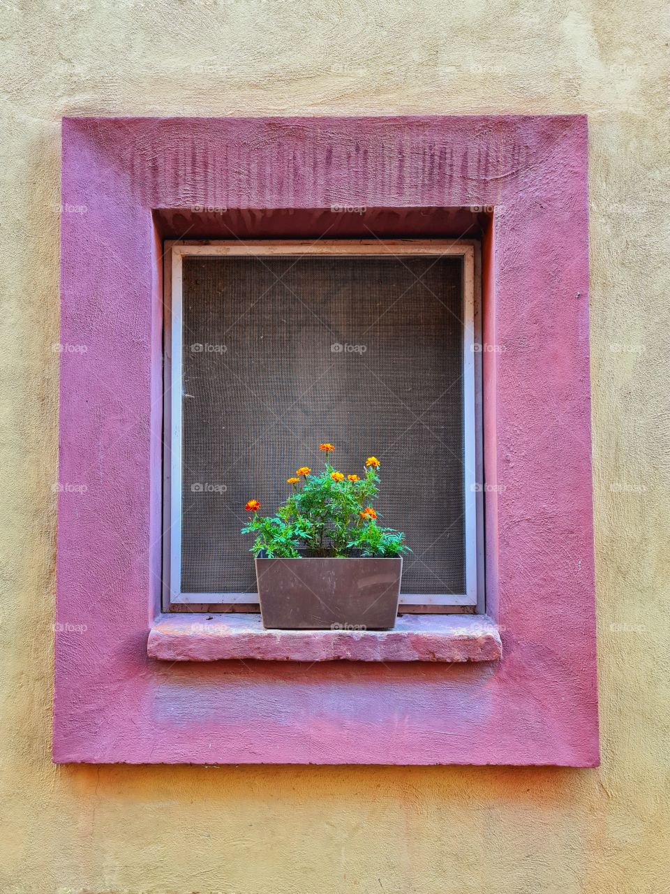 romantic colored window in the historic center