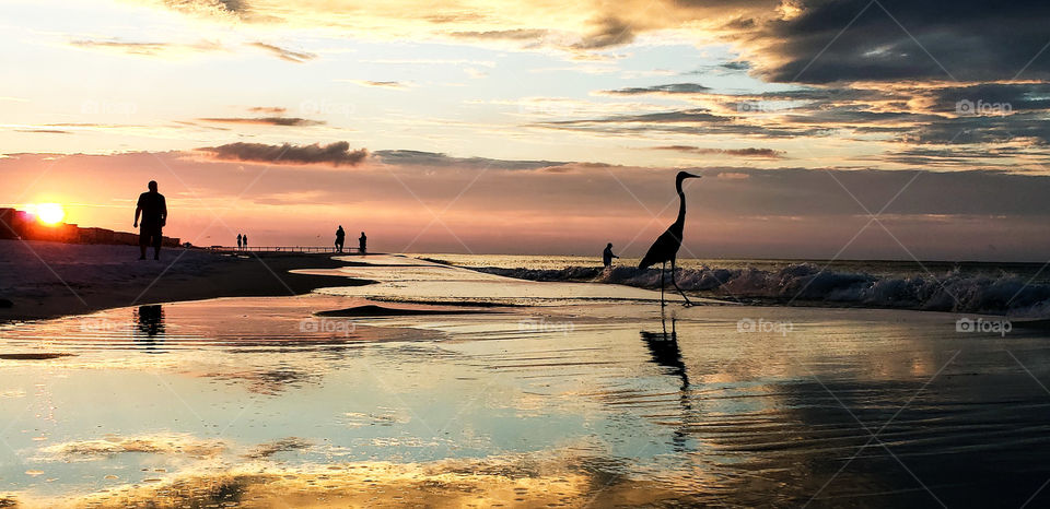 Typical day at the beach during golden hour...