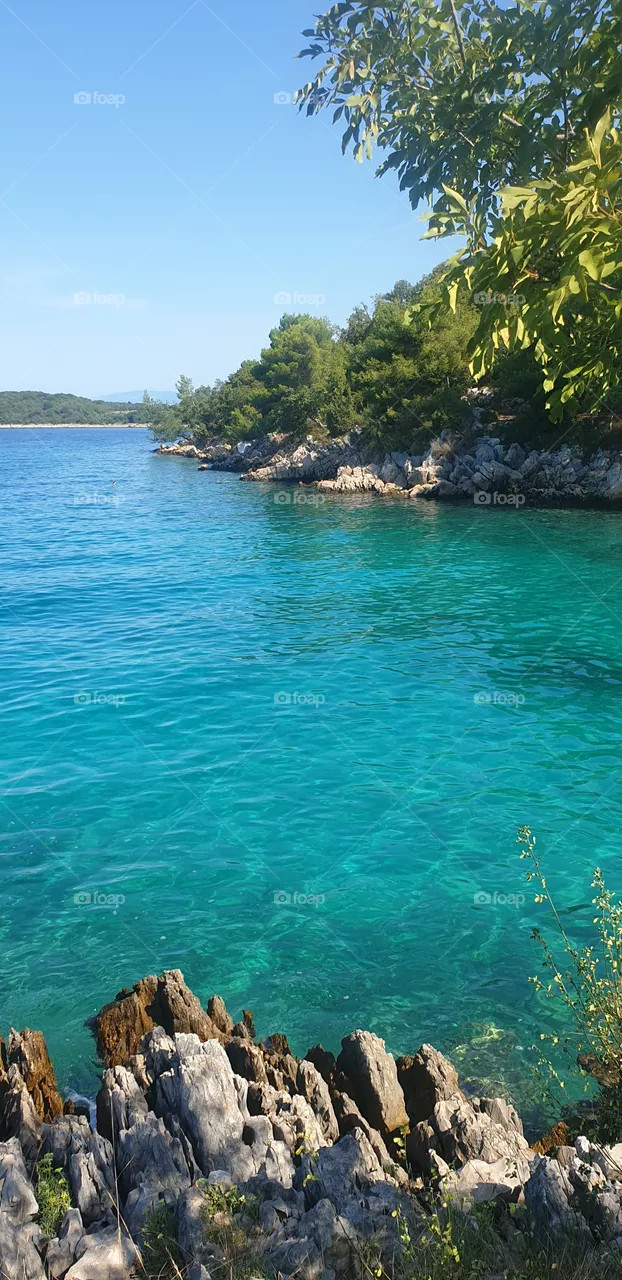 sea