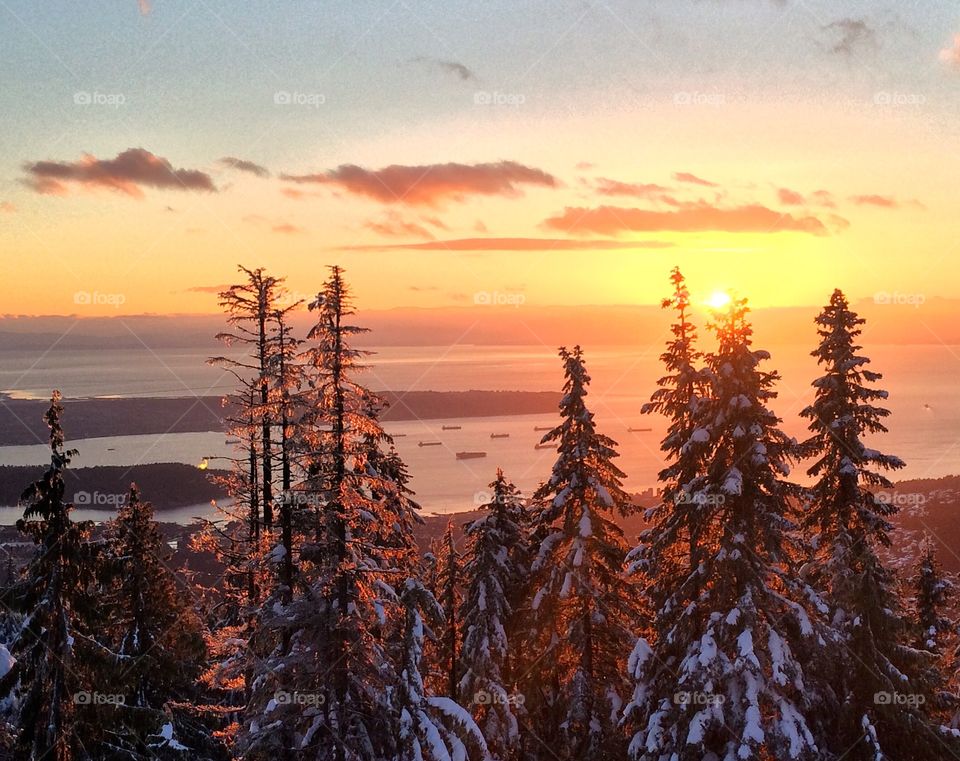 Sunset in forest at winter