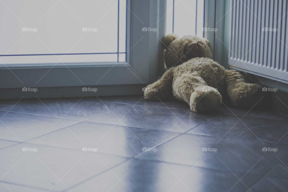 Abused Teddy