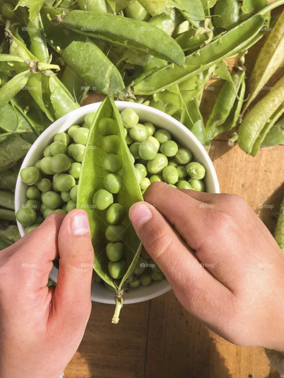 little girl shelling pea,