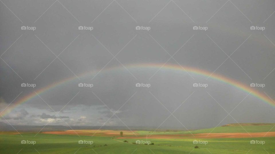 Rainbow over the fields