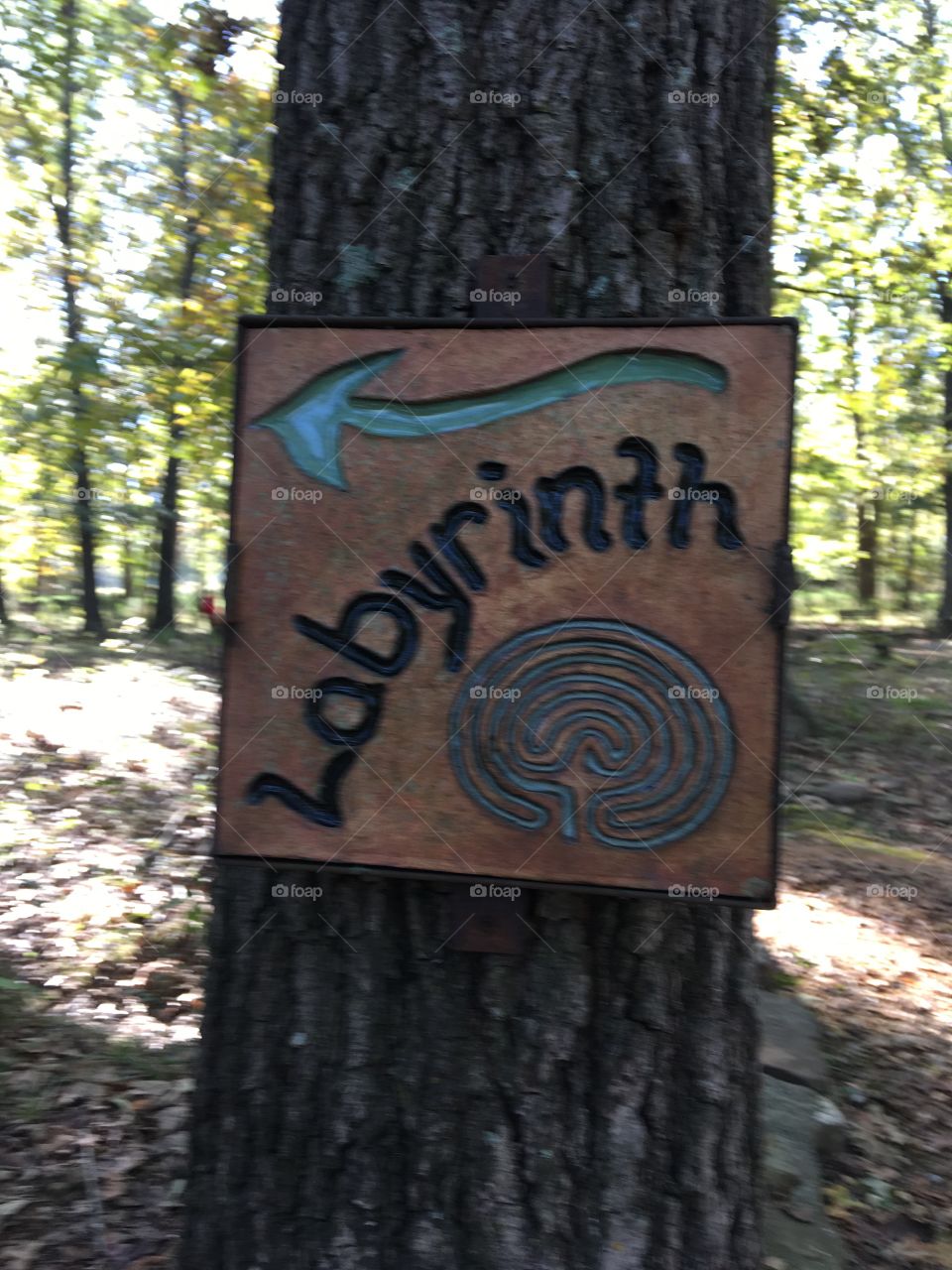 Let’s go check this out might be fun! Maybe we’ll get lost. Ha ha have you ever been to one of these?