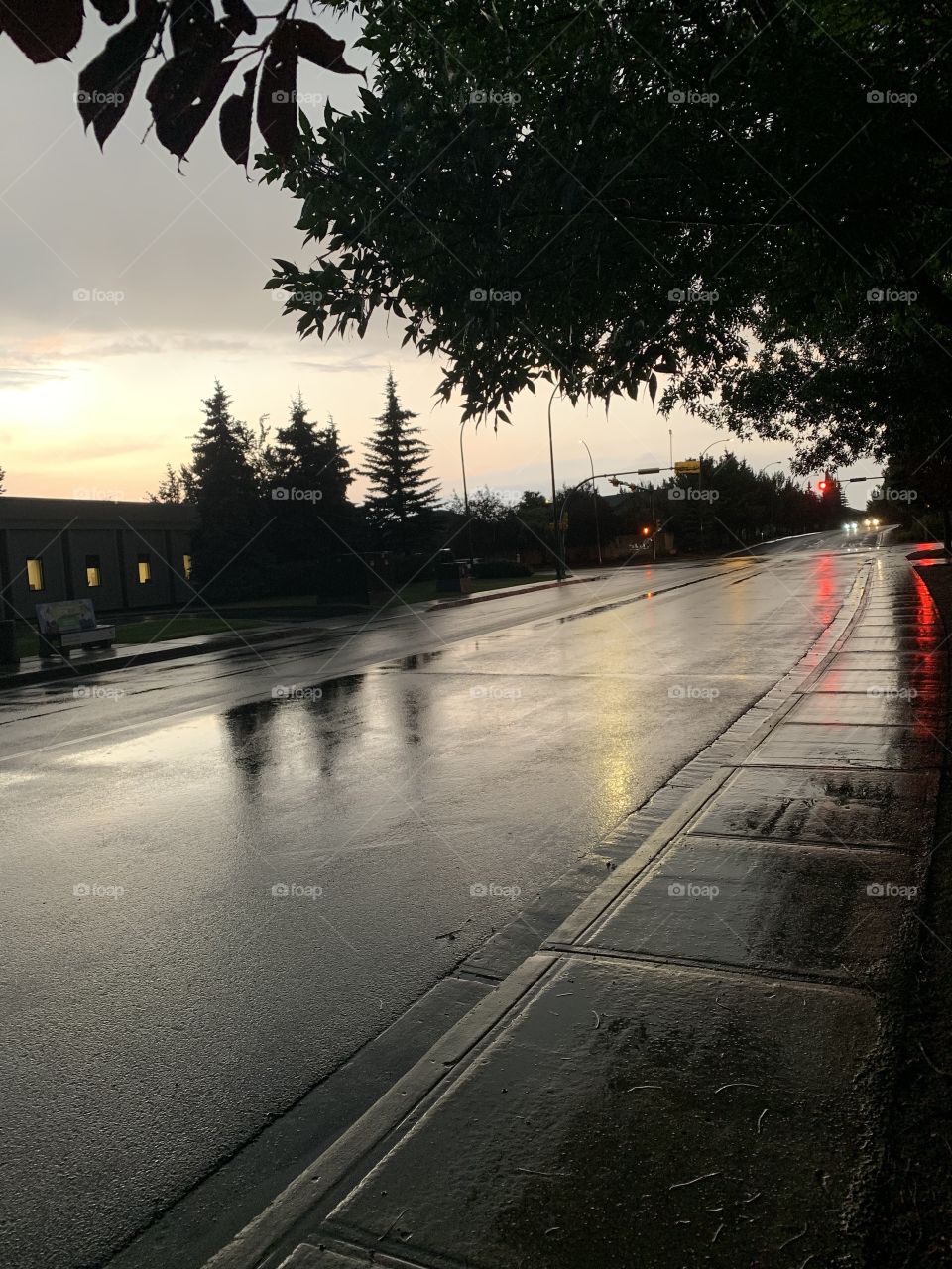 Reflection of lights on wet road. After rain beauty. Adorable sky and trees. 
