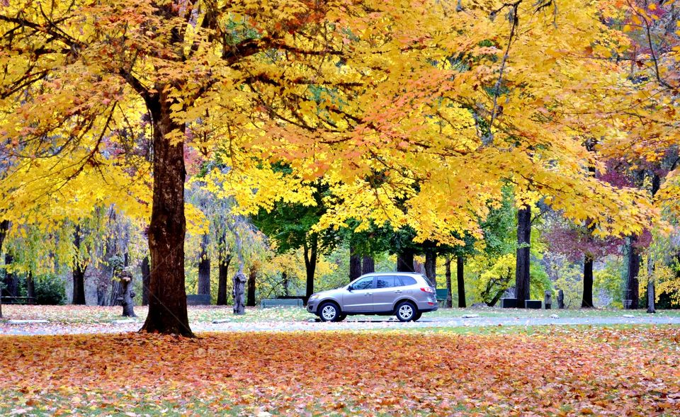 Car Park