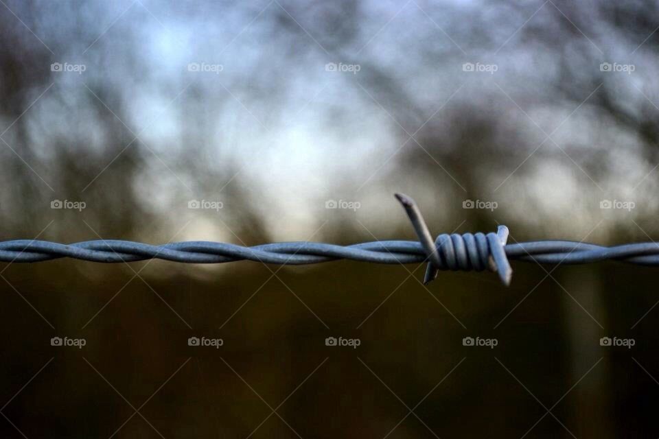 Barbed wire