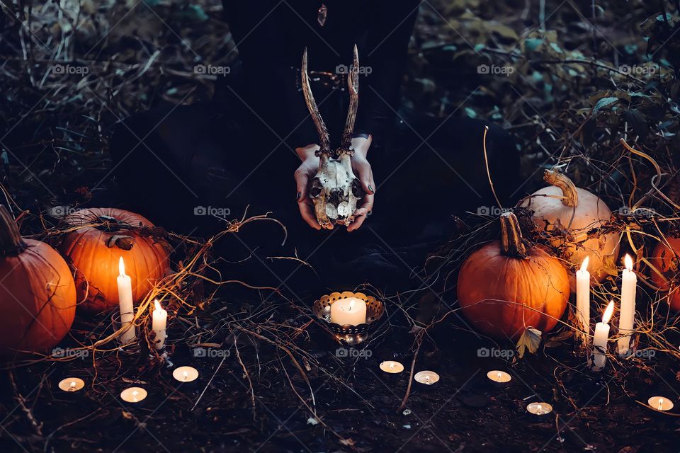 Halloween Pumpkins and Candles

Close up of hands holding Halloween skull in hand with pumpkins and candlelight in forest