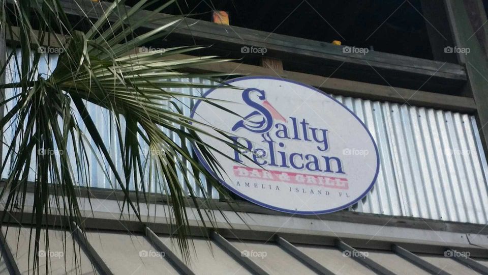 SALTY PELICAN