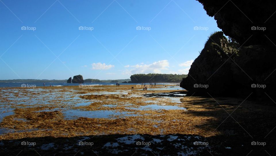 Rock Formation and Beach