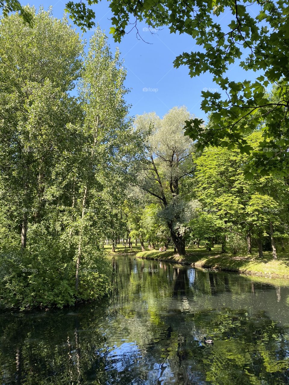 Shadows play, summer park, water and light, nature, calmness, landscape, trees, green