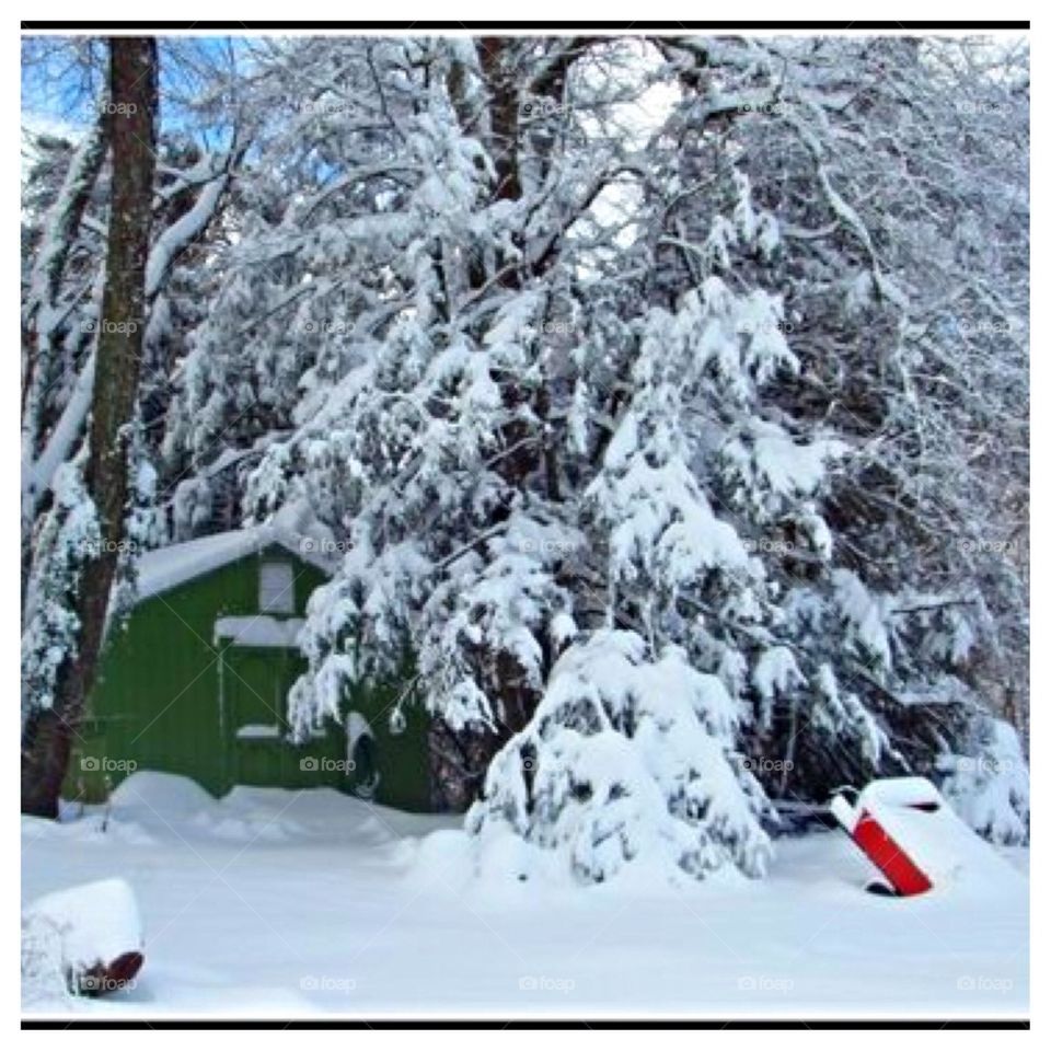 Green Gardner's Shed in the Snow